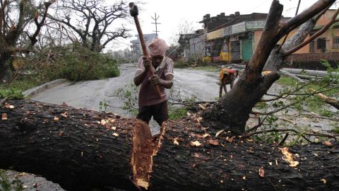 A municipal worker cuts a tree uprooted by the cyclone to clear a main highway in Berhampur, India, on October 13.