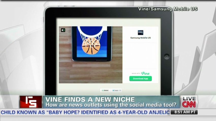 RS.Vine.finds.a.new.niche_00024706.jpg