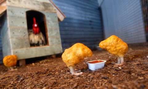 A scene titled "Chicken Nuggets," from Banksy's "The Village Pet Store and Charcoal Grill," is seen in New York in 2008.