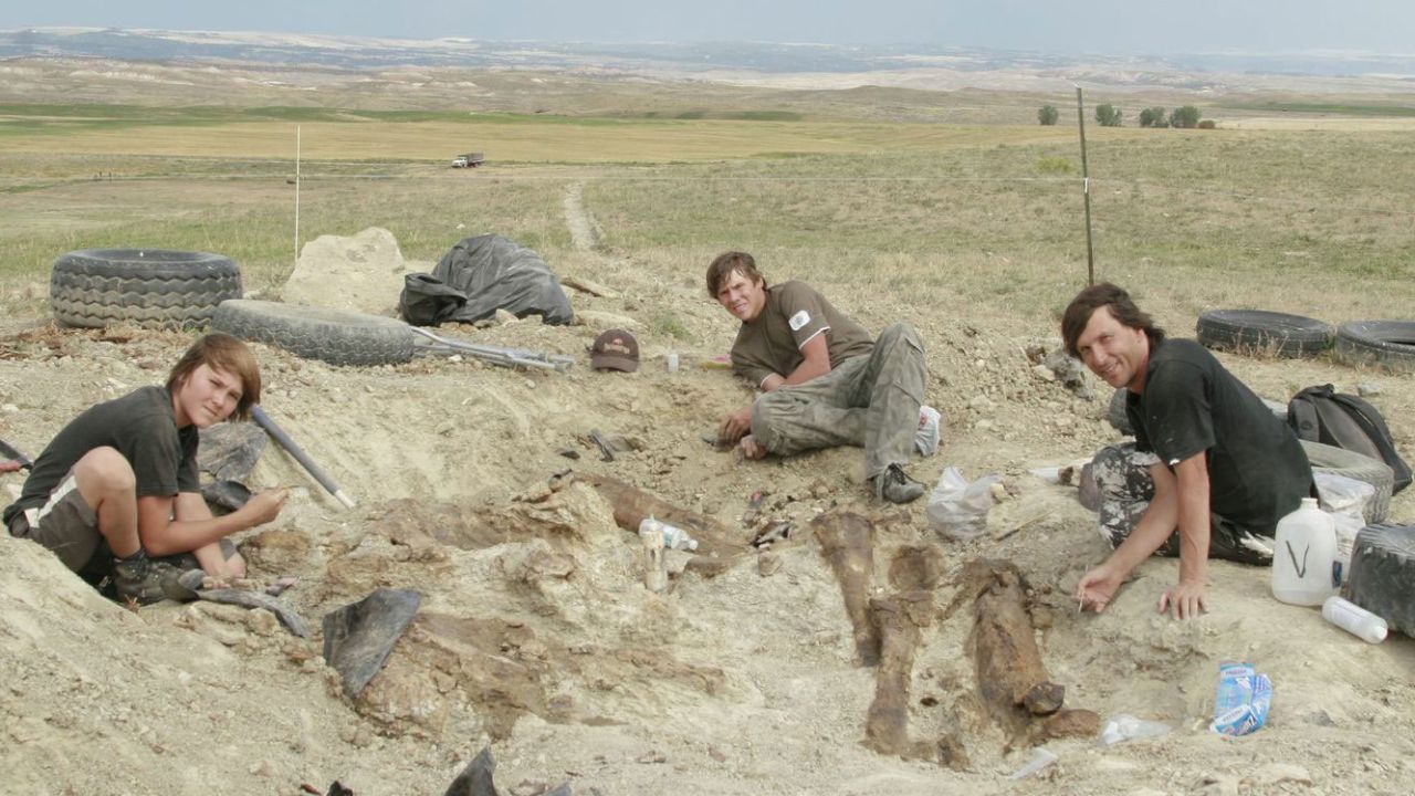 Benjamin, Jacob and Raimund Albersdoerfer with the remains of the Diplodocus longus "Misty."