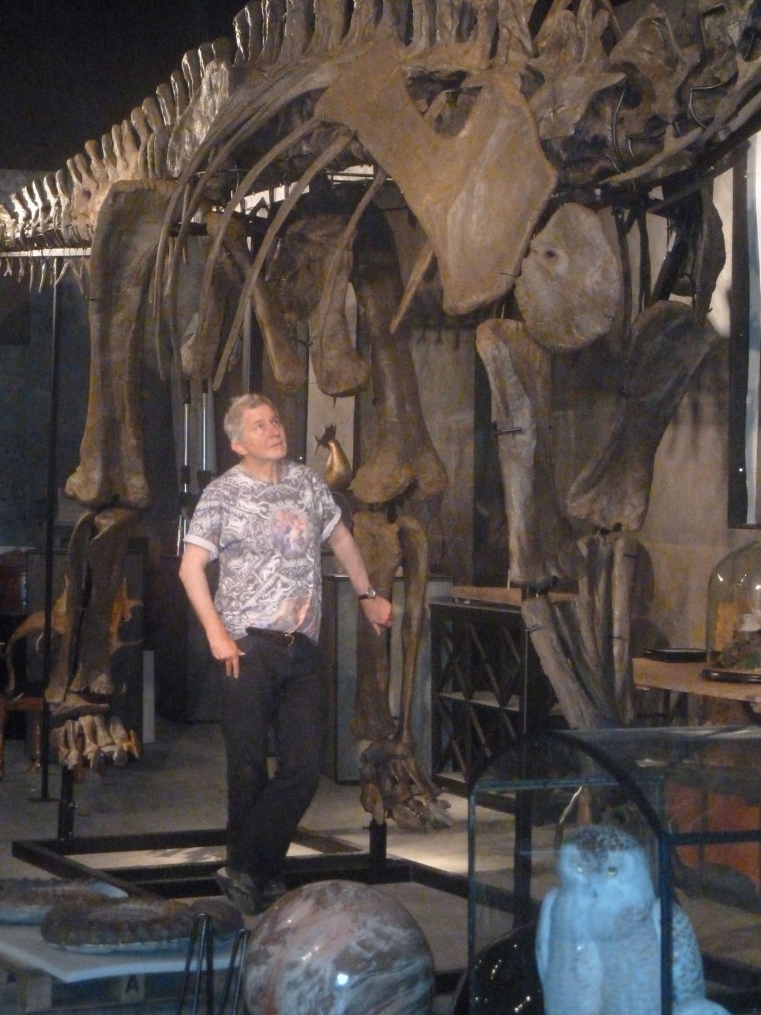 Curator Errol Fuller with the Diplodocus longus skeleton.