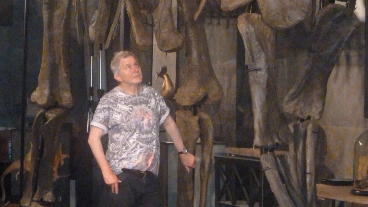 Curator Errol Fuller with the Diplodocus longus skeleton.