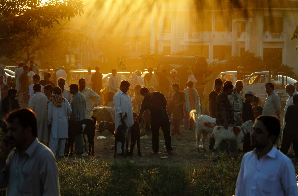 People visit a small livestock market to buy sacrificial animals for the Muslim holiday of Eid al-Adha, or "Feast of Sacrifice," in Islamabad, Pakistan, on Tuesday, October 15. Muslims traditionally sacrifice sheep, goats, cows and camels to commemorate the Prophet Abraham's readiness to sacrifice his son on God's command.