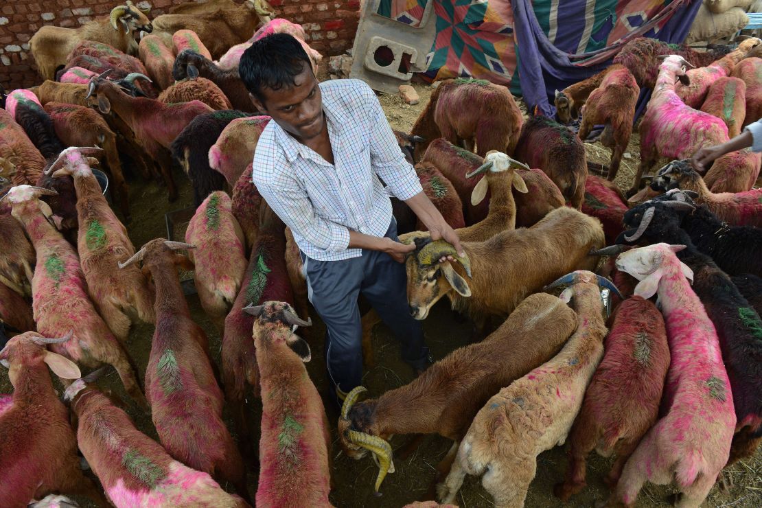 A  vendor handles a goat at a livestock market in Hyderabad, India. Many Muslims sacrifice an animal to celebrate the holiday.