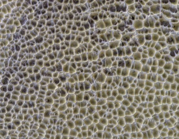 A primera vista, podrías confundir esto con un primer plano de piel humana. En realidad, se trata de varias formas poligonales que normalmente indicarían algún tipo de procesos del agua ocurridos debajo de la superficie. En su lugar, los científicos se dan cuenta de que simplemente son dunas de arena que se intersectan.