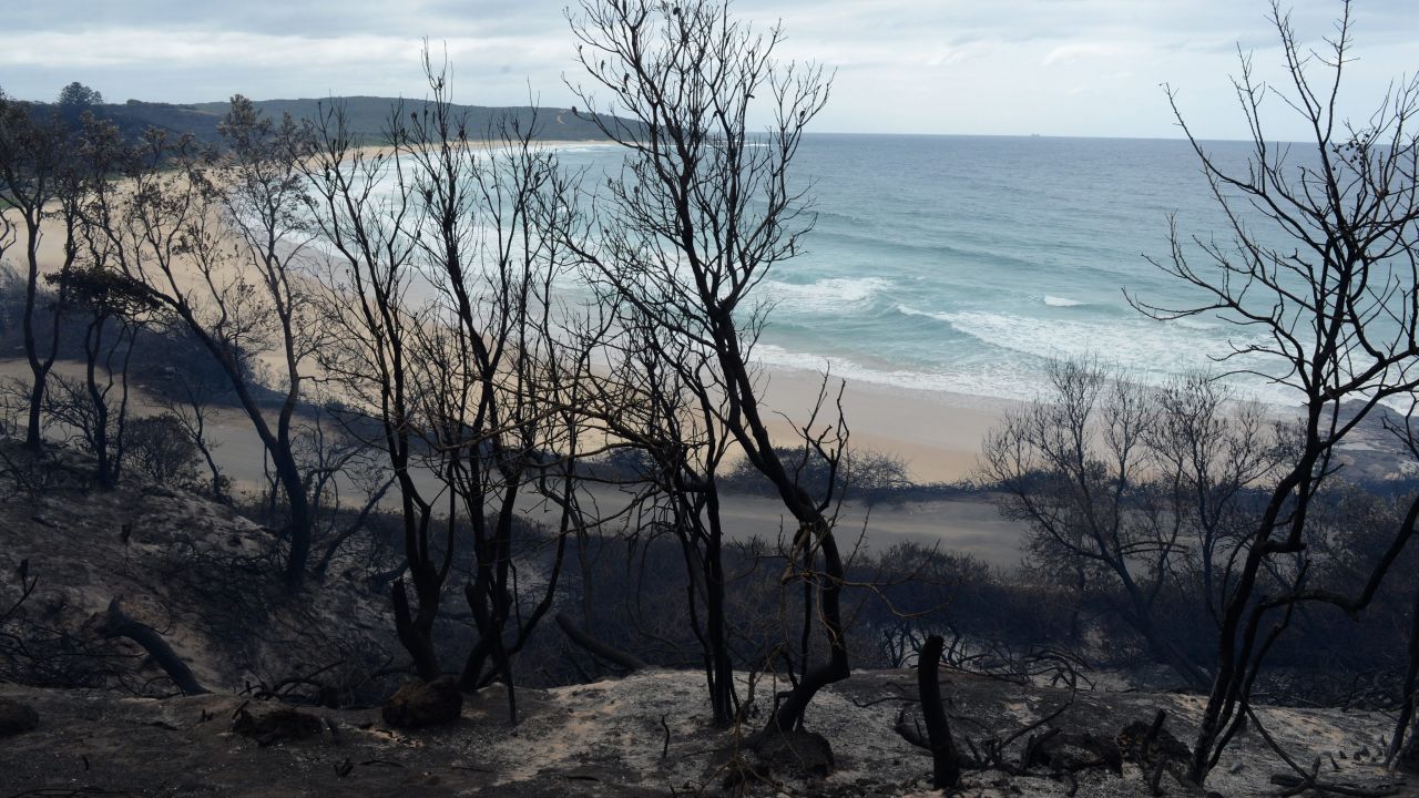 The charred coastline of Catherine Hill Bay is seen near Wyong, Australia, on October 18.