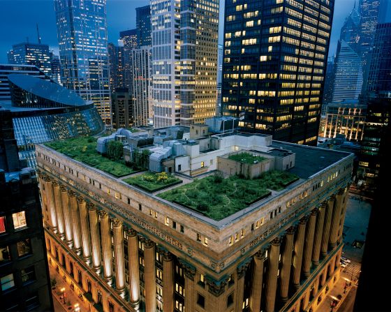 Diane Cook photographed Chicago City Hall's award-winning green rooftop. "I thought 'We're going to reveal a secret landscape to people.'  And it is really magical," she said.