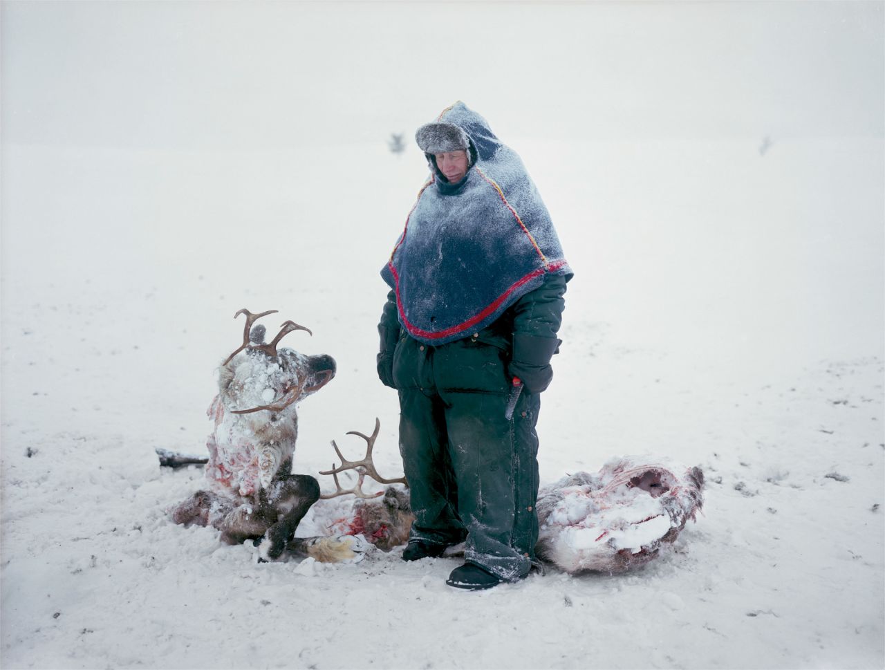 A Sami in Sweden mourns the loss of two reindeer that starved after locking horns in a fight for dominance, in this remarkable photograph by Erika Larsen.