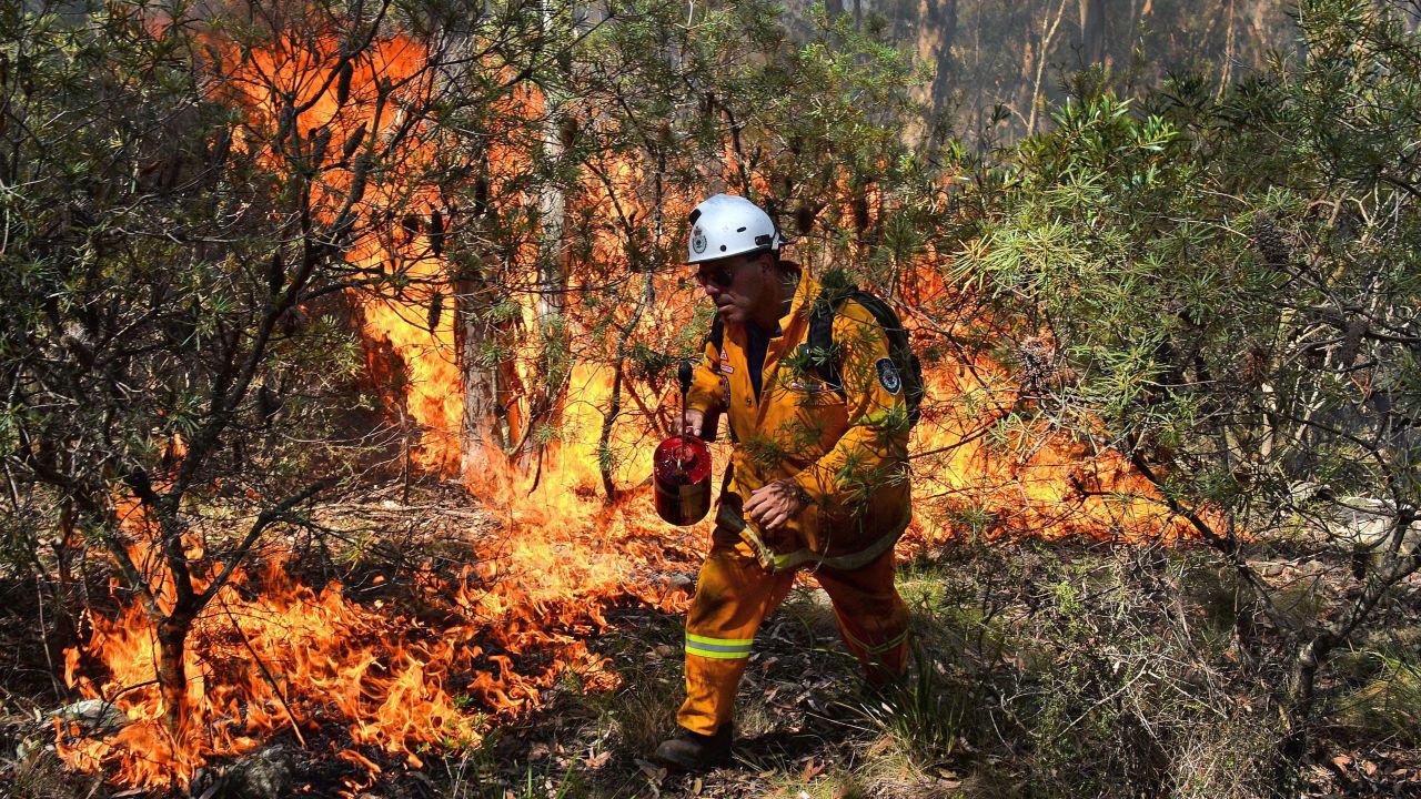 A firefighter lights a back burn Monday, October 21 near Mount Victoria in the Blue Mountains. There are fears that the dozens of fires could become one possible "megafire."