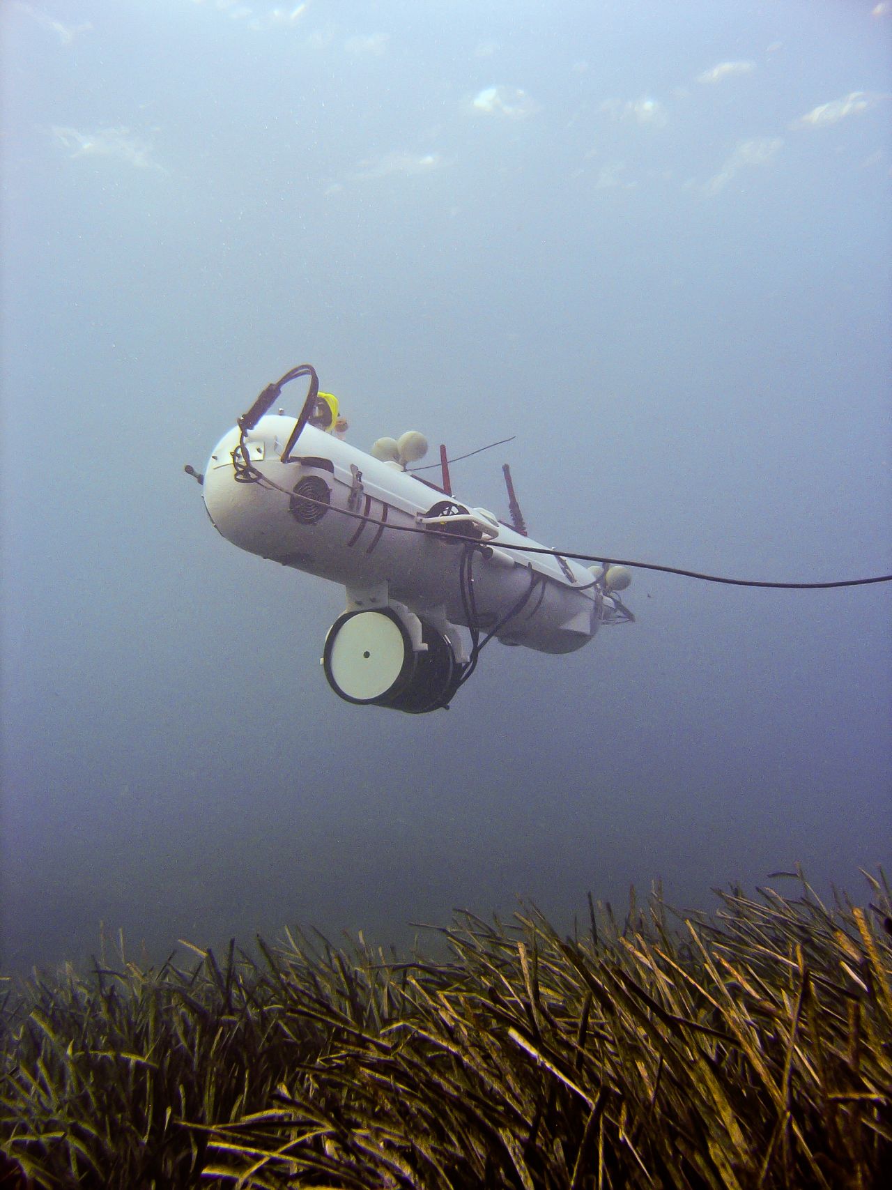Proving that robot swarms can go anywhere, researchers from Scotland's <a href="http://osl.eps.hw.ac.uk/" target="_blank" target="_blank">Heriot-Watt University</a> have created Nessie: an autonomous underwater vehicle capable of diving into deep water to <a href="http://www.hw.ac.uk/news-events/news/coral-reefs.htm" target="_blank" target="_blank">help save the country's endangered coral reefs</a>. A swarm 'team' will replace human divers who currently reassemble damaged coral with the hope that it will regrow.  Researchers take inspiration from the behavior of natural swarms of insects -- such as bees -- to collectively maintain complex structures.