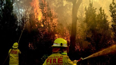 Firefighters battle the fire front as it moves toward homes in Lake Macquarie, Australia, on Wednesday, October 23.