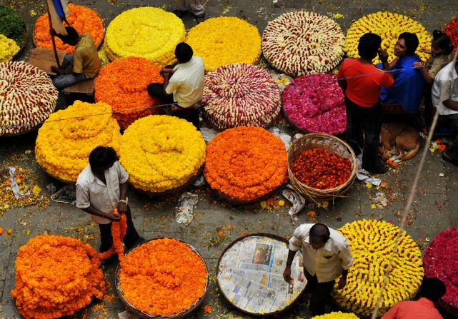 Pongal is a four-day harvest festival widely celebrated in the south of India. On the third day, celebrants honor their cows, and gift them with garlands of flowers and beads. In preparation, vendors stock up on colorful flora. 
