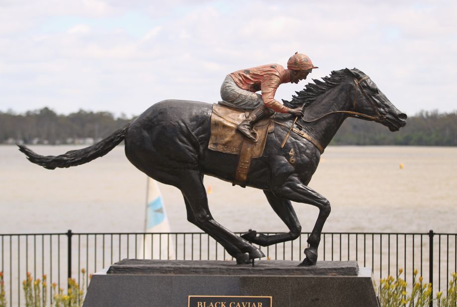 Champion racehorse Black Caviar has been immortalized in bronze in its hometown of Nagambie in the Australian state of Victoria. The mare retired following a stellar racing career in which it won all 25 of its races.