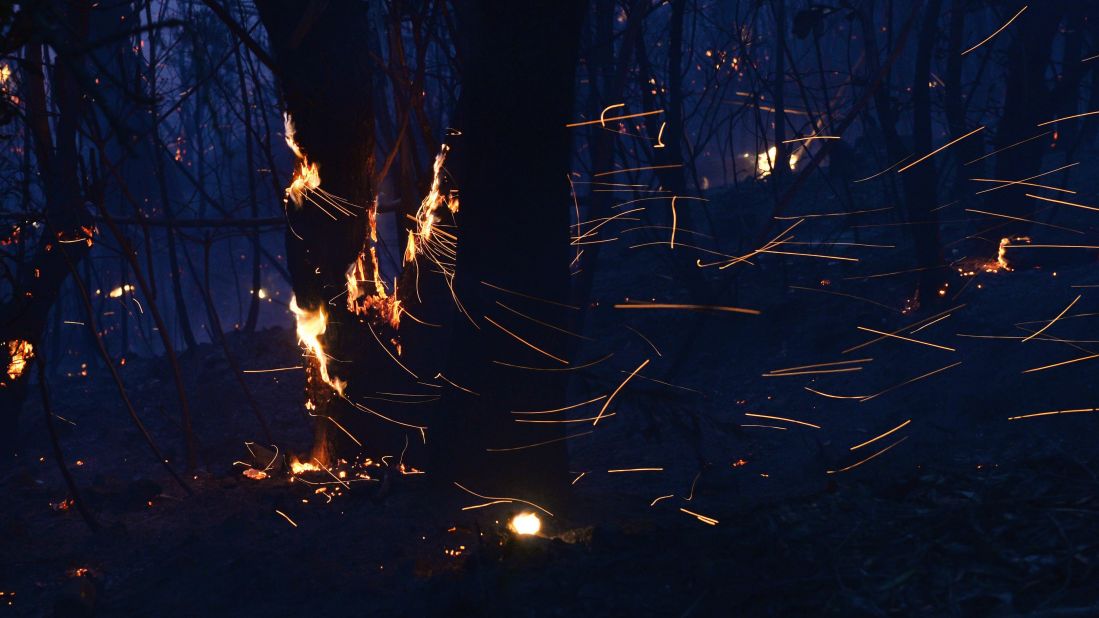 Embers blow around trees as a fire rages near Mount Wilson on October 24.