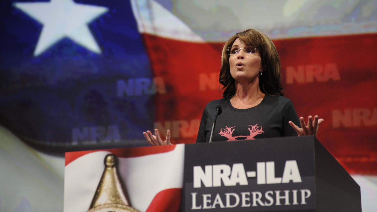 Sarah Palin speaks at the National Rifle Association Leadership Forum in Houston in May.