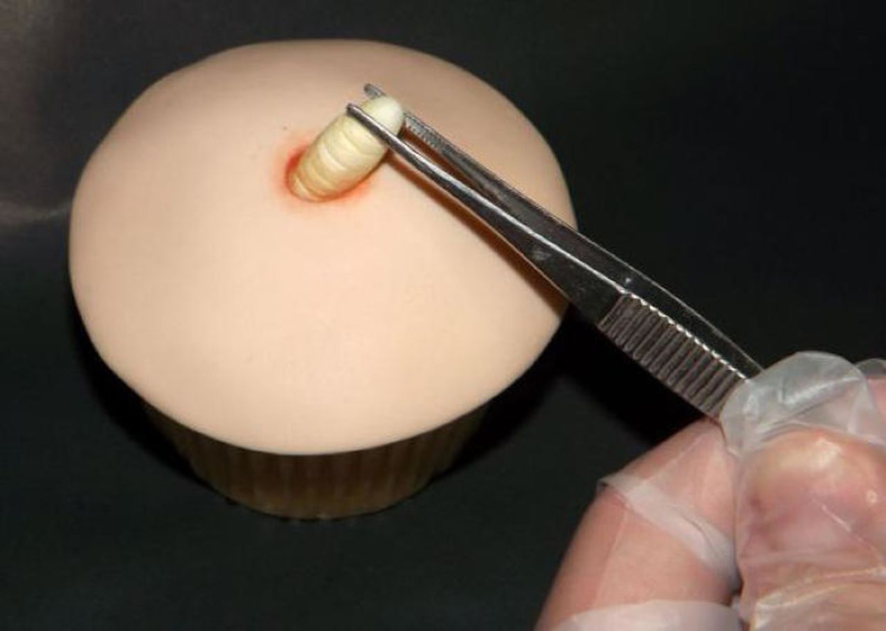 Posiblemente la exhibición más perturbadora de Twisted Fondant. Extrae el gusano con sabor a mango del "cupcake" con unas pinzas y...