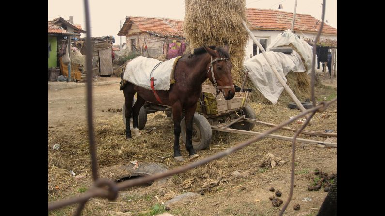 Living conditions in the Roma village of Nikolaevo, where Saska Ruseva and Atanas Rusev live, are rudimentary. Horse-drawn carts are still used for transportation of people and goods.