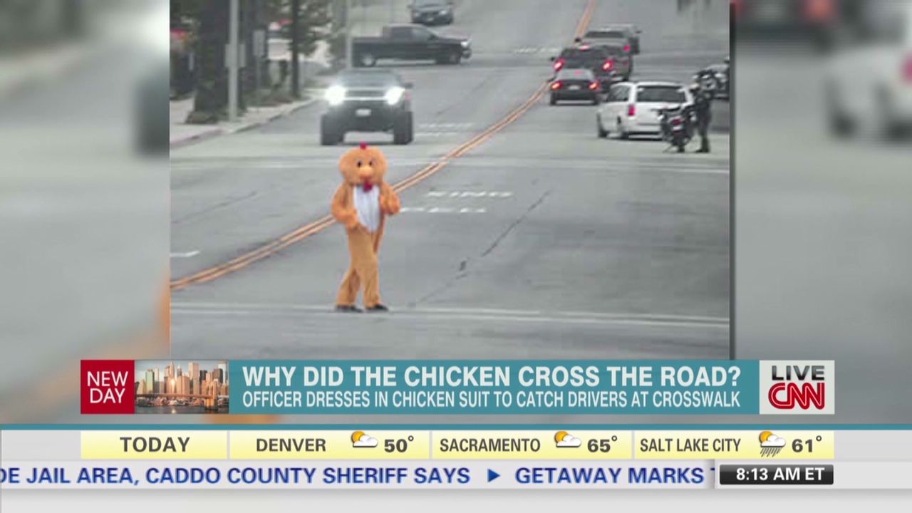 Why Did the Chicken Cross the Road: The Video Game