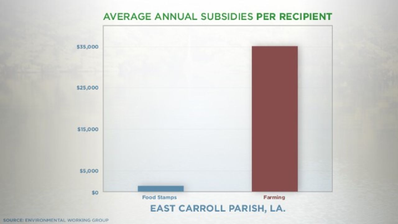 Both the rich and poor are subsidized by government programs.