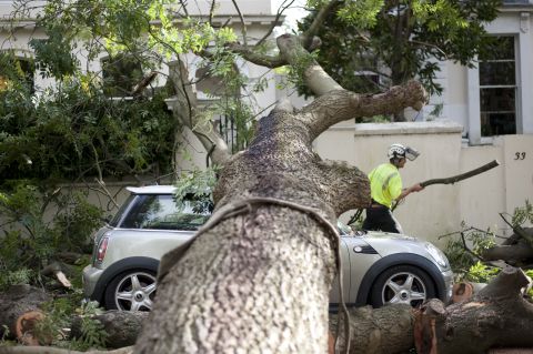 A contractor works on clearing the debris after a tree fell on car in London on Monday.