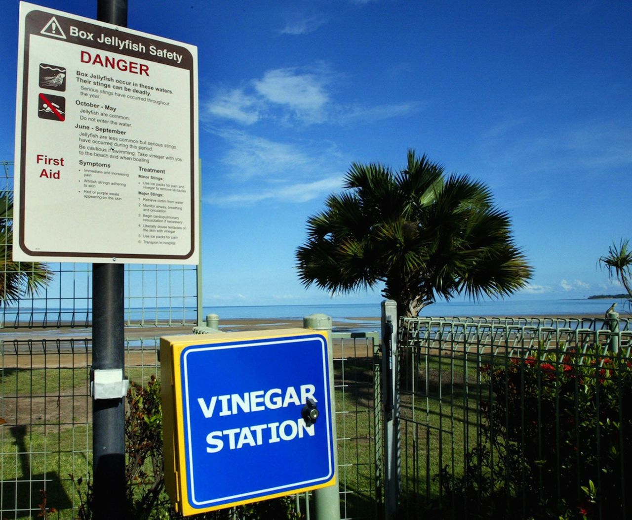 A sign warns against swimming in the sea due to the presence of deadly box jellyfish in Darwin, Australia. A 'Vinegar Station' offers a temporary remedy for those who have been stung.