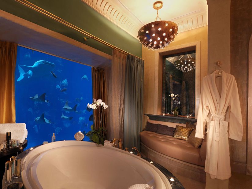 In 2008, Atlantis, The Palm opened in Dubai with a built-in aquarium featuring 65,000 species of fish and sea creatures. Some suites look onto the giant fish tank. When it first opened, the aquarium housed a whale shark dubbed "Sammy", inspiring outrage among a number of animal rights groups. The resort later claimed it released Sammy into the wild. 