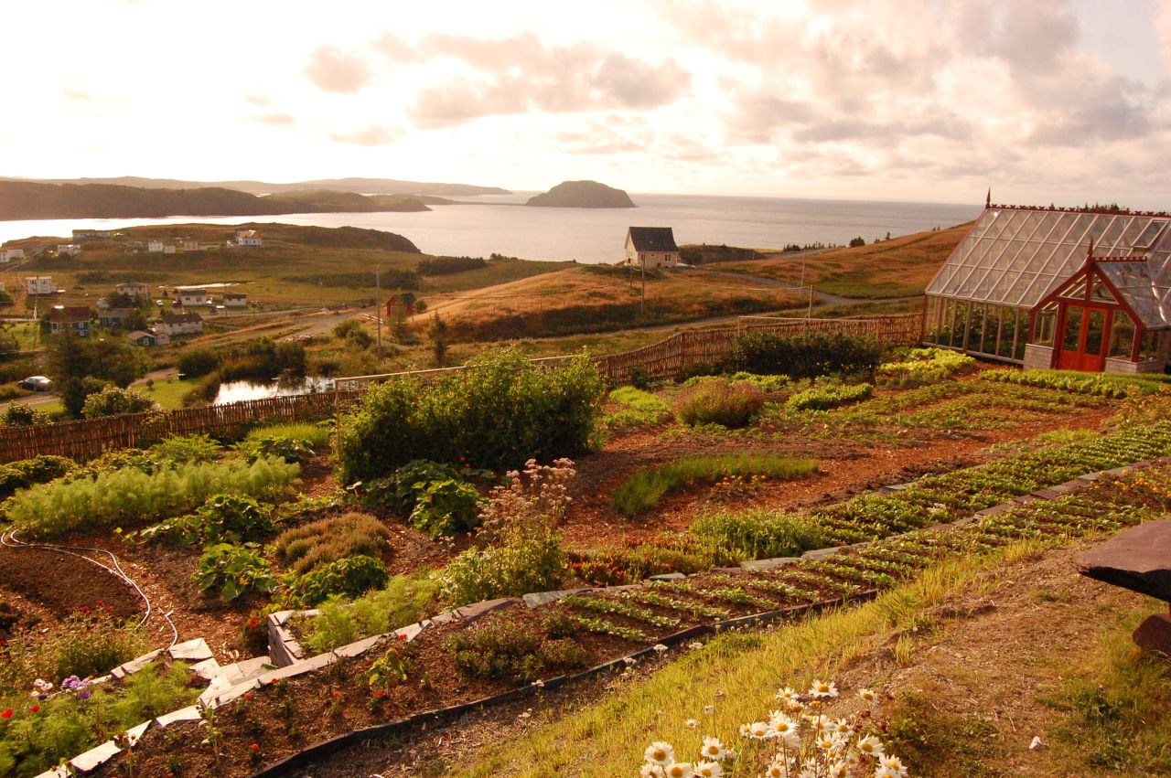 Fisher's Loft in Newfoundland, Canada, gathers ingredients from the inn's greenhouse and gardens for some of its meals. 