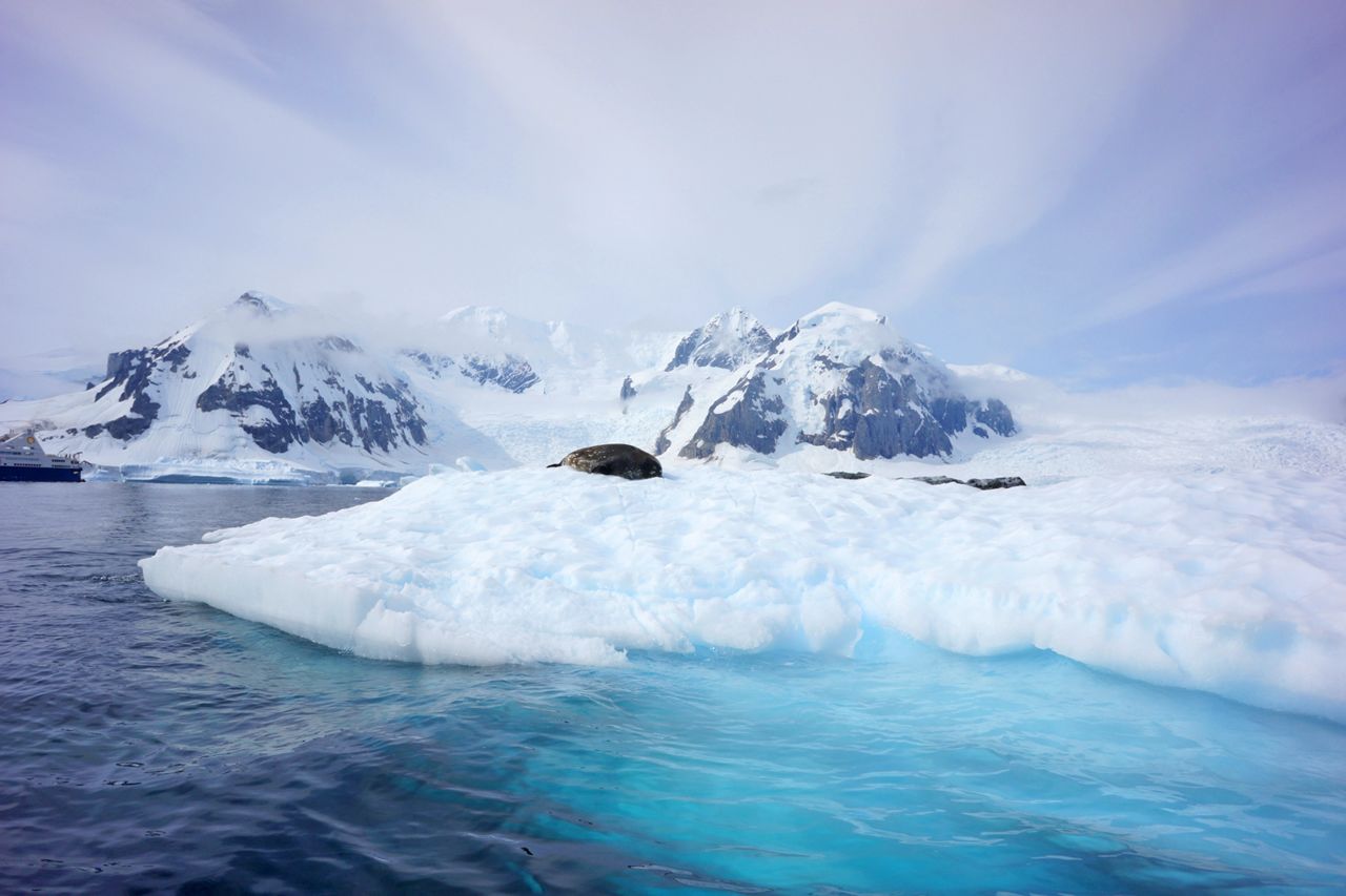 Second place actually went to a continent, not a country, for its pristine, unexplored territories and incredible scenes of wildlife. The timely factor? Next year marks the centenary of the start of polar explorer Ernest Shackleton's Antarctic expedition.