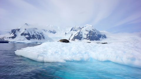 lonely planet 2014 destinations - Antarctica