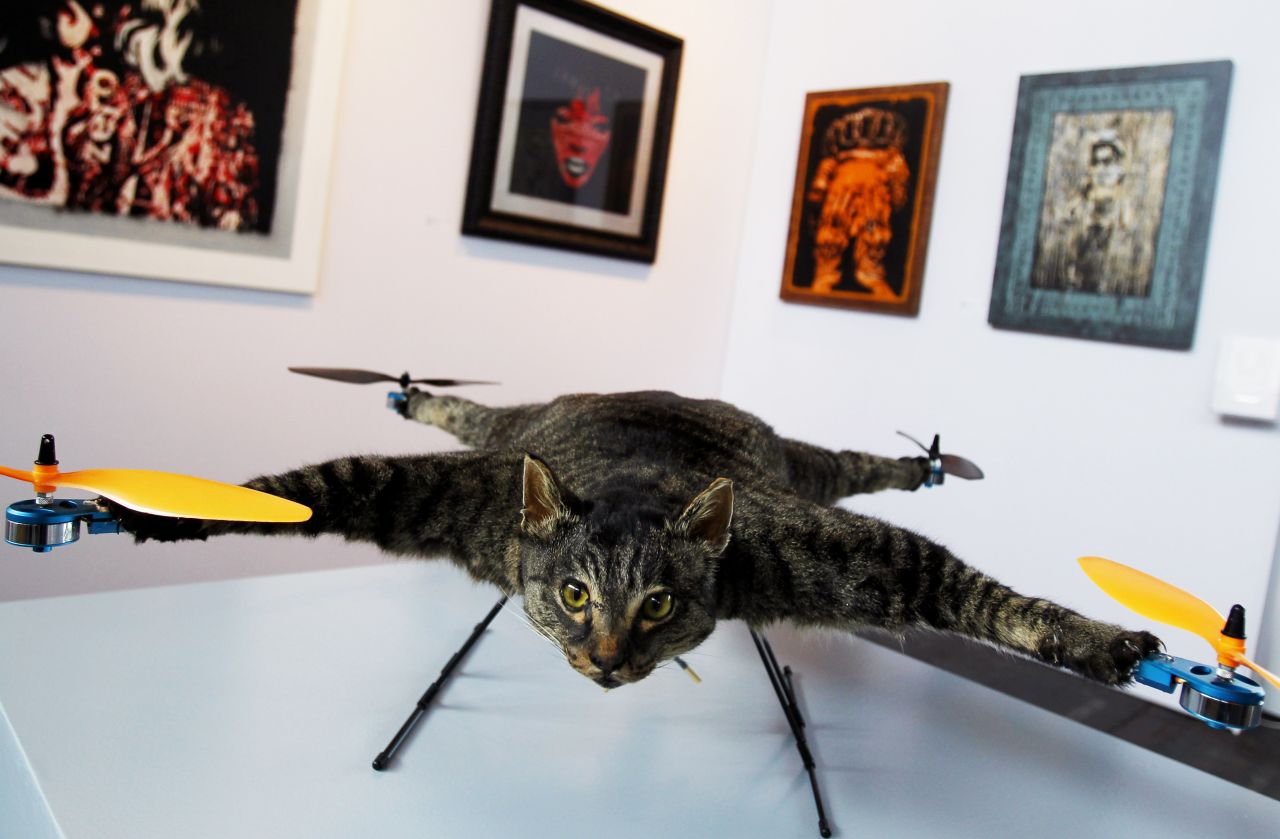 Drone+stuffed cat = art. Orville is a flying helicopter cat made by Dutch artist <a href="http://bartjansen.tv/" target="_blank" target="_blank">Bert Jansen</a>. The remote-controlled quadcopter was first exhibited in Amsterdam and Jansen has since created more taxidermy drones. 