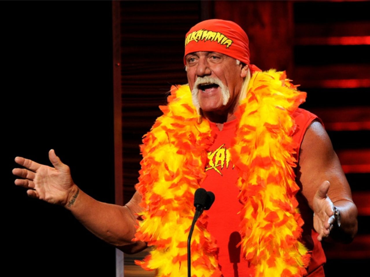 El nombre Terry Gene Bollea realmente no infunde temor en el corazón de otros luchadores.