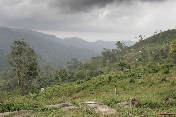 Felled trees lie on the mountainside just outside Freetown. African countries account for 14 of the 20 most at-risk nations.