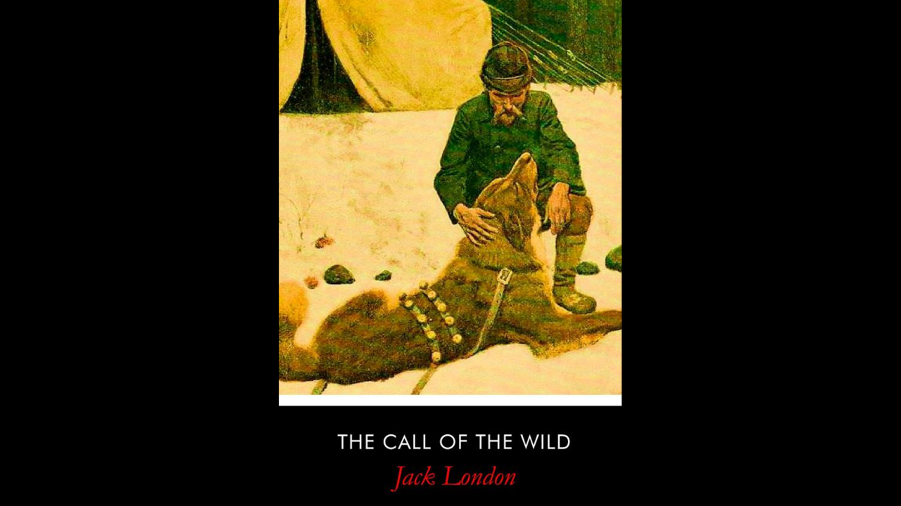 Jack London's classic "The Call of the Wild" also came up several times as an example of a classic tale of adventure that encouraged perseverance and triumph over adversity.