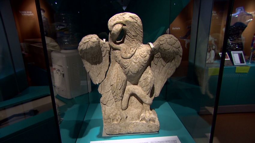 Rare eagle_00012305.jpg