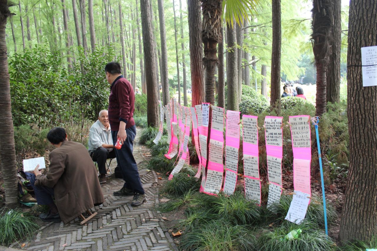 The marriage market takes place in a shaded park in the center of Shanghai.