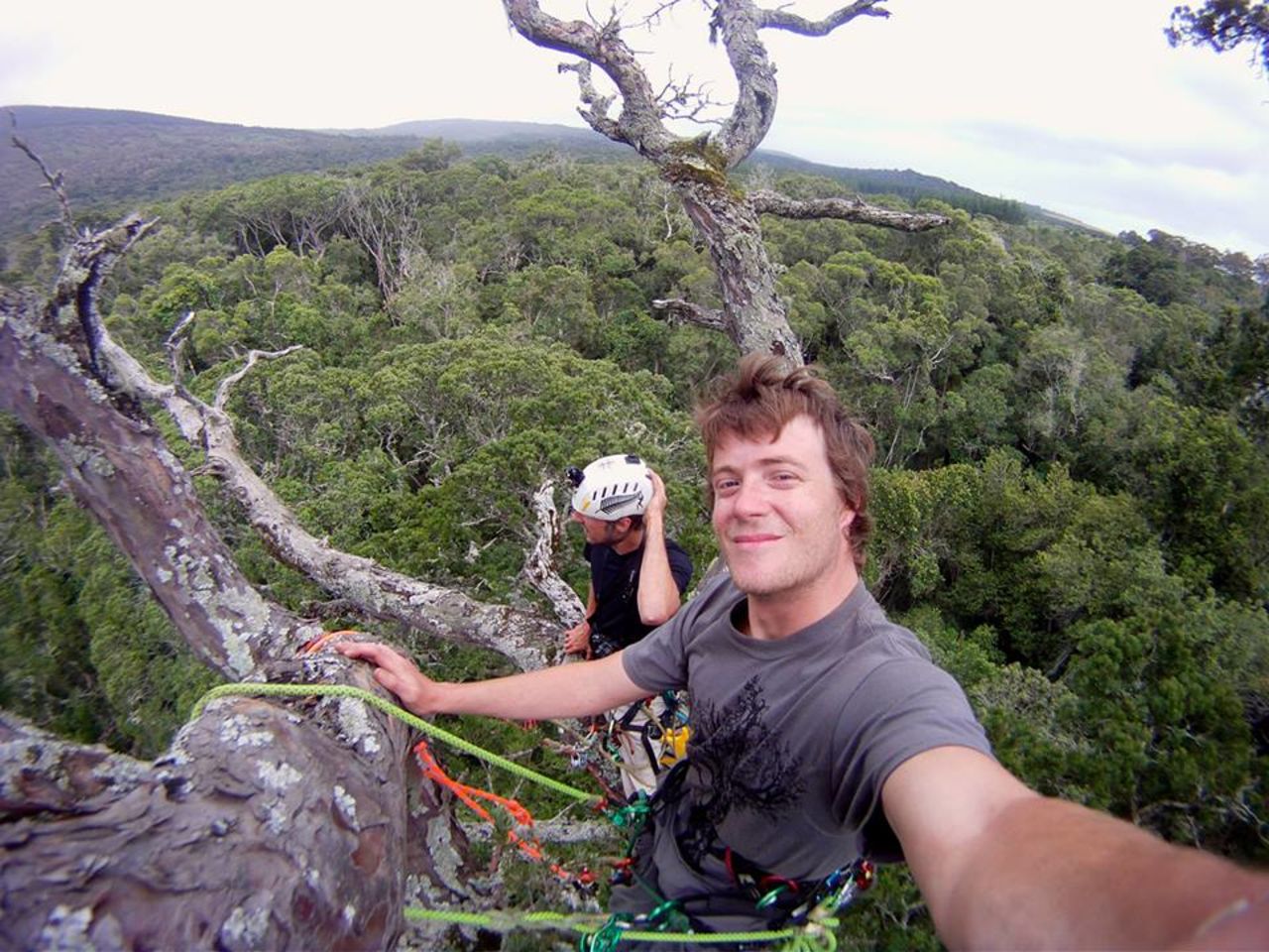 Wiles and Bristow enjoying the views from the tallest yellowwood tree in Eastern Cape.