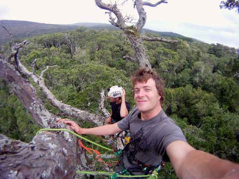 Wiles and Bristow enjoying the views from the tallest yellowwood tree in Eastern Cape.