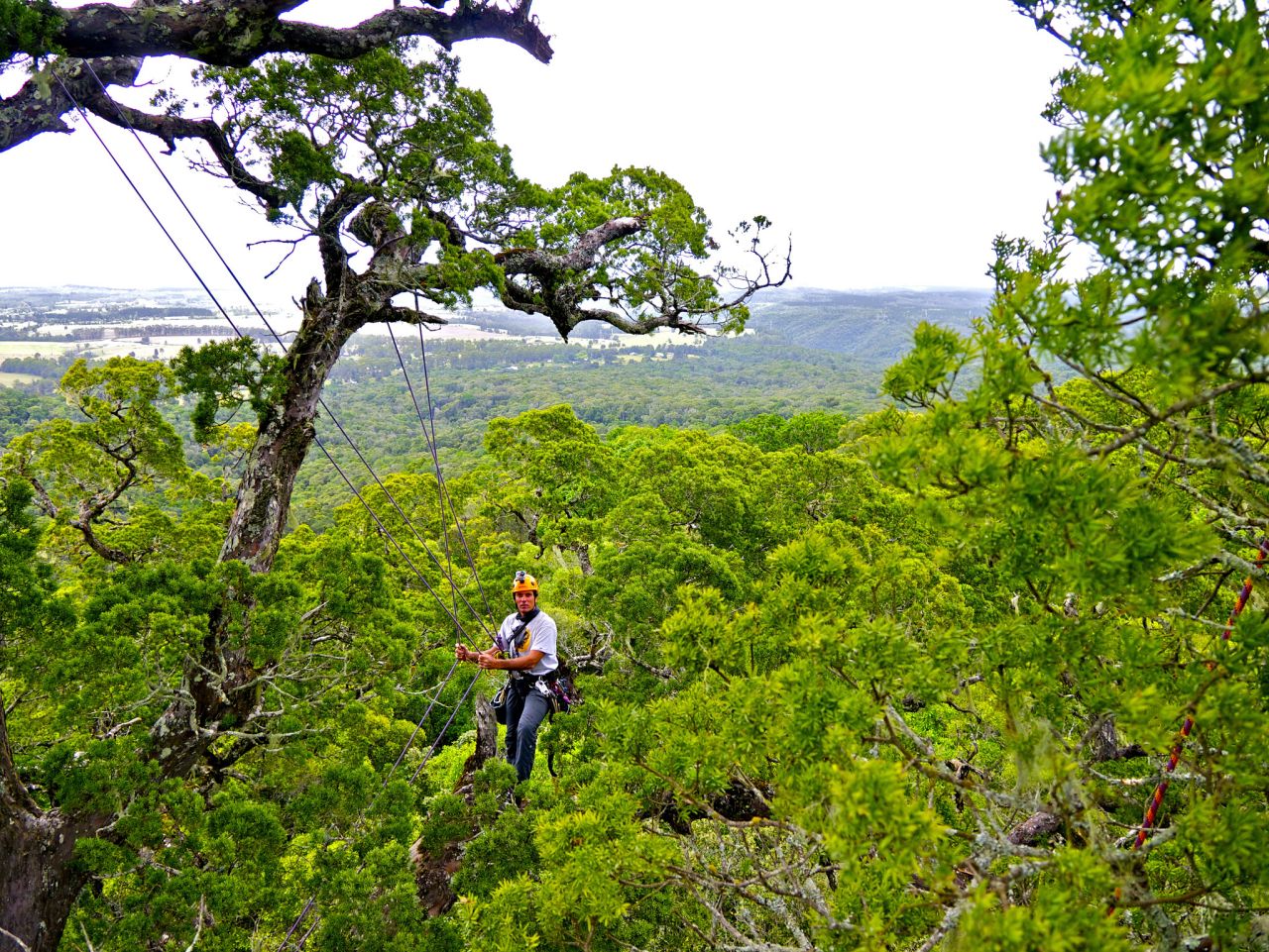 "We work on a leave-no-trace policy so the use of spurs is 100% no go!" says Wiles. "We shoot a thin 1.5mm line with a 8/10oz weight up into the canopy using a 10ft tall slingshot or crossbow," he adds. "We then disconnect the weight and tie on our rope and haul the thin line back pulling out climbing lines into the tree."
