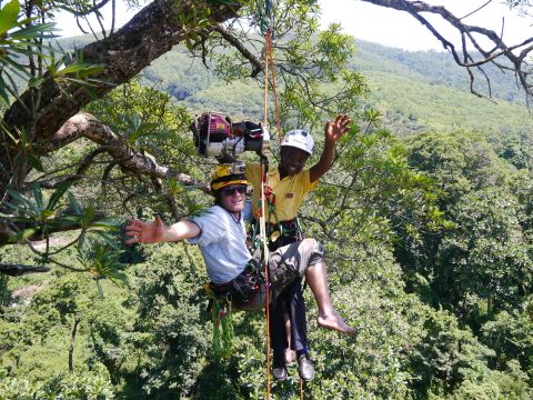 As part of its educational focus, the group also gave school children the chance to experience the thrill of climbing South Africa's magnificent trees.
