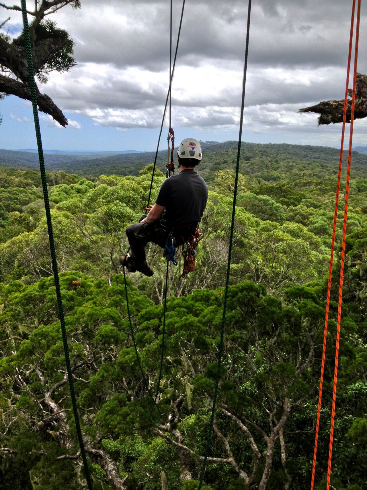 A group of international tree climbers has embarked on a mission to explore some of Africa's most spectacular trees.