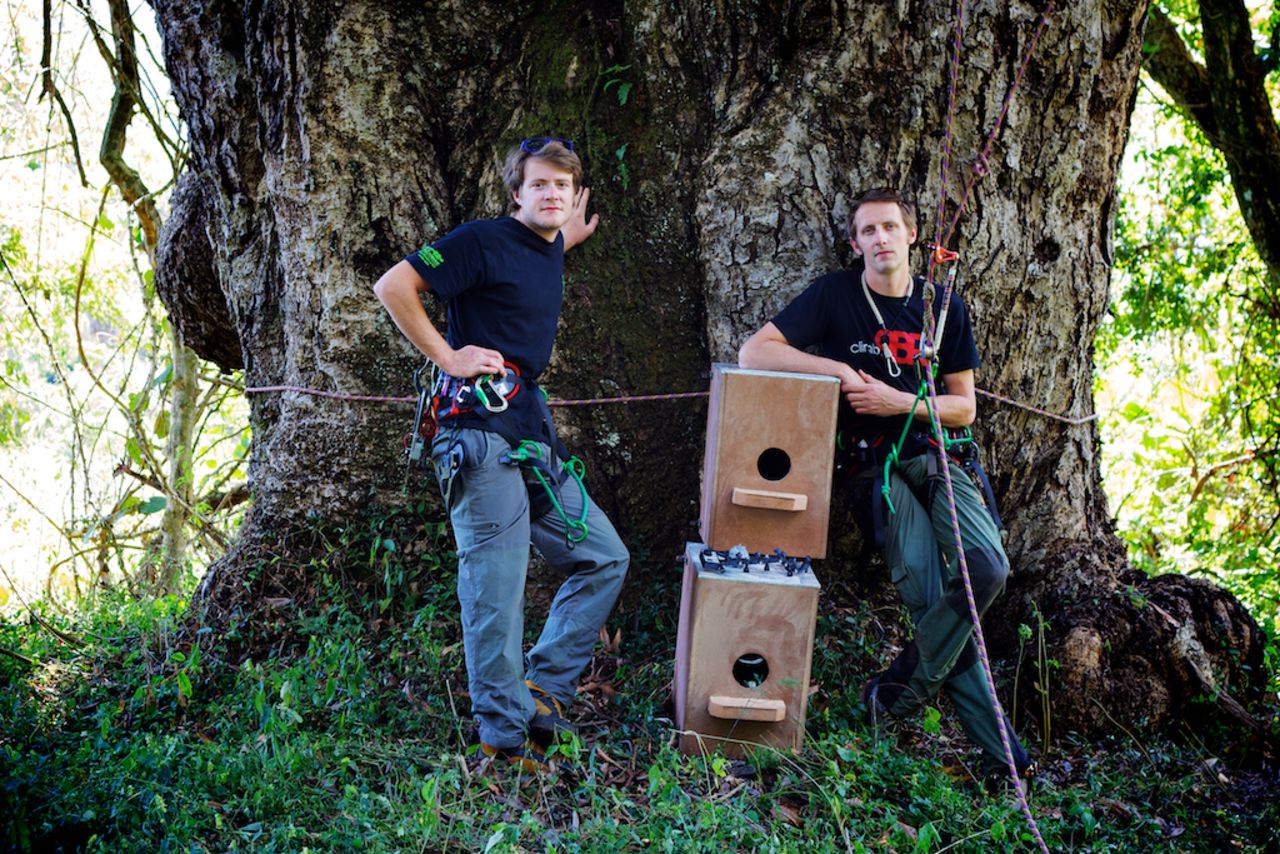 Wiles (left) and co-founder Drew Bristow also helped in installing nest boxes for the endangered Cape Parrot, an endemic species of which less than 1,000 are thought to be alive.