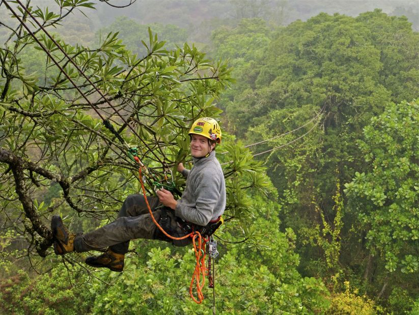 Launched by David Wiles (pictured), the "Explore: The Ancient Trees of Africa" project is aiming to help highlight the need to preserve South Africa's spectacular trees.
