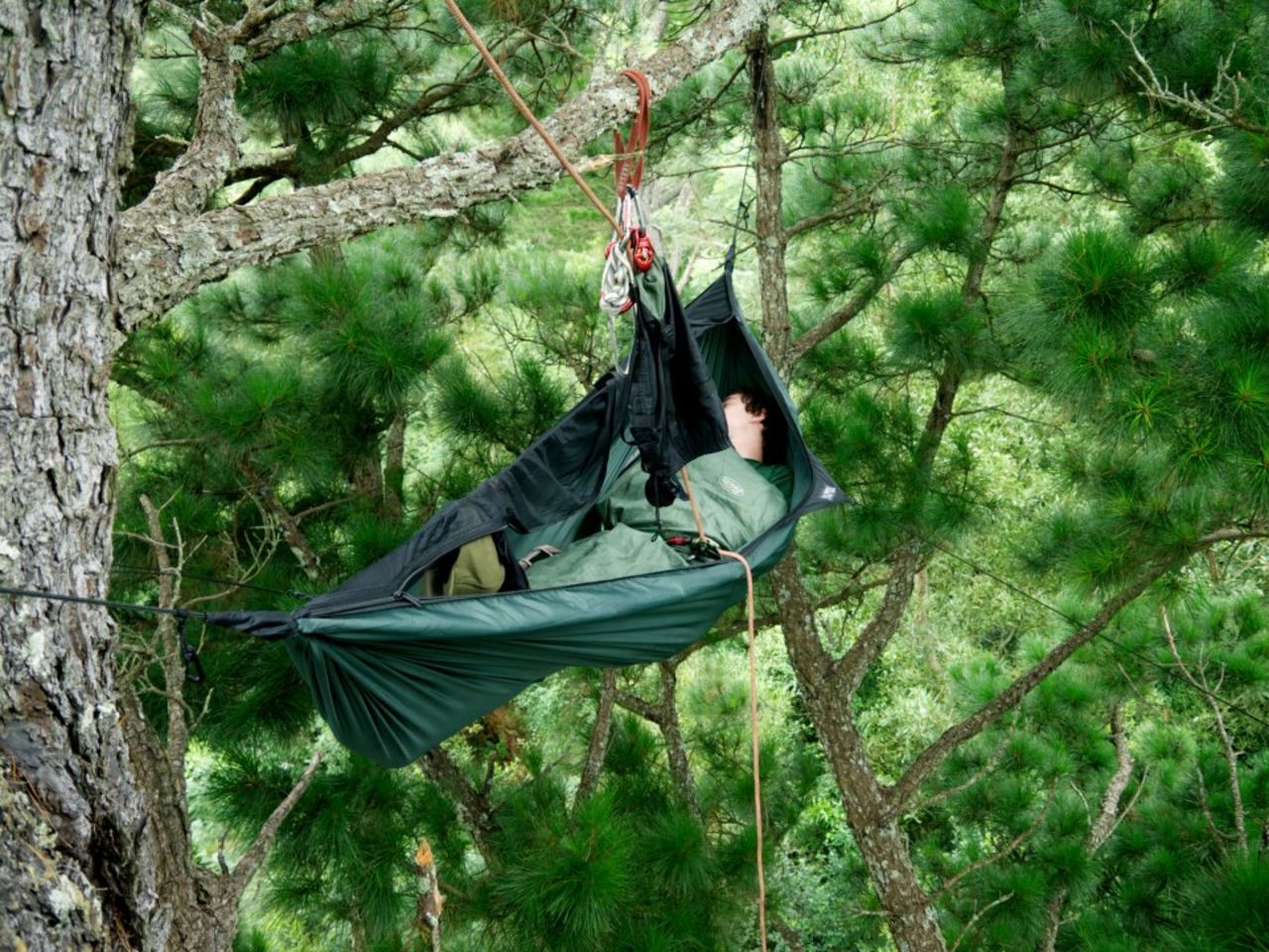 Can you think of a better place to take a nap?