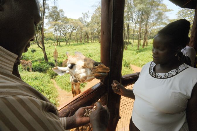 If this woman were actually in the bush, she'd probably never get near that giraffe. White stands out to most animals, making it the worst color when trying to remain inconspicuous around wildlife. 