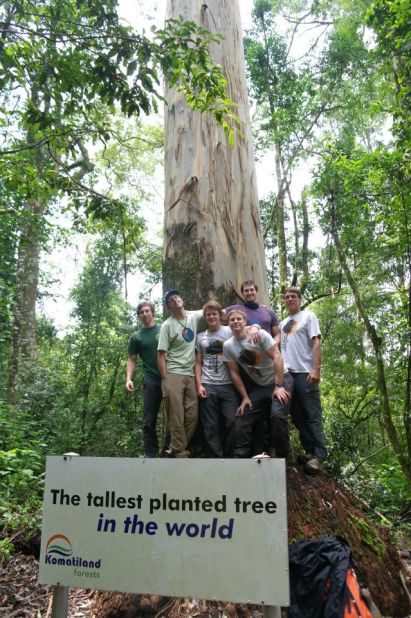 The group also scaled climbed for the first time what was measured to be the world's tallest planted tree: an 81.5-meter eucalyptus in Limpopo.