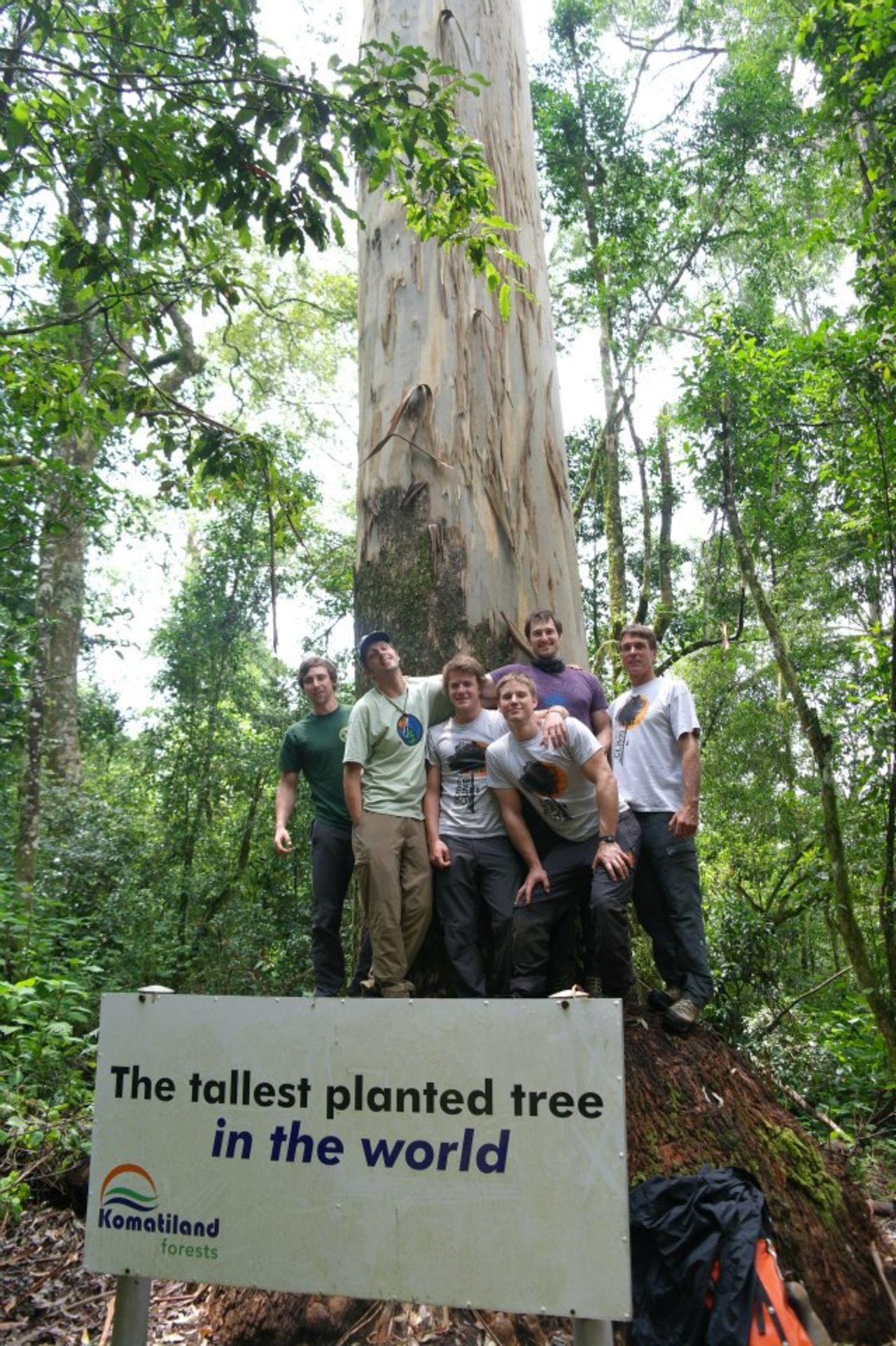 The group scaled climbed what was measured to be the world's tallest planted tree: an 81.5-meter eucalyptus in Limpopo.