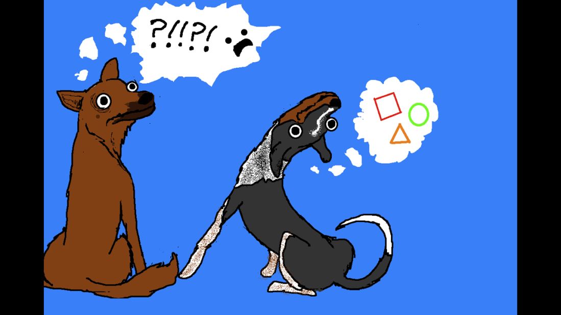 Brosh's dogs, a neurotic shepherd mix she refers to as the "helper dog" and a blissfully stupid mutt she refers to as the "simple dog," appear often in her comic, including this illustration from the post, <a href="http://hyperboleandahalf.blogspot.com/2010/11/dogs-dont-understand-basic-concepts.html" target="_blank" target="_blank">"Dogs Don't Understand Basic Concepts Like Moving."</a>