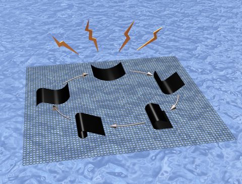 Polymers that curl up when they get wet could power mechanical devices <em>and</em> generate electricity. <a href="http://arstechnica.com/science/2013/01/polymer-film-generates-mechanical-energy-just-by-getting-wet/" target="_blank" target="_blank">Researchers at MIT generated a small current by covering the water-responsive "polypyrrole" polymer in an energy generating piezoelectric material</a> and placing it on a wet surface. The technology is fragile at the moment, but marks the first successful attempt to generate water from a water gradient.