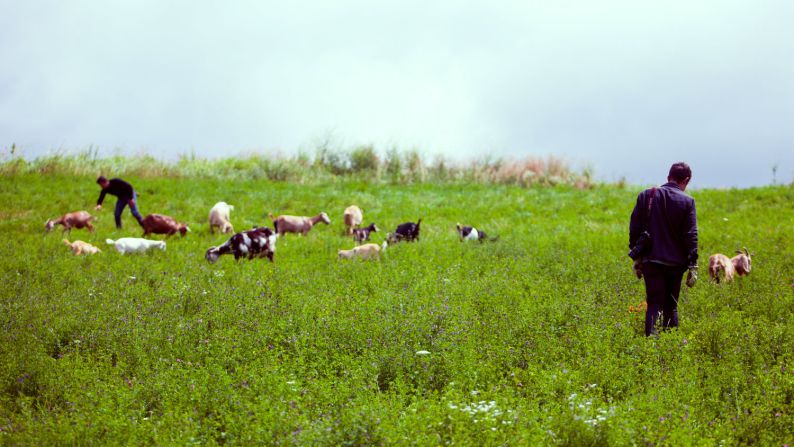 The kindness of strangers was everywhere, including here at Echo Valley Farm in Wisconsin. "We pulled up, three dirty bikers, to this nice sustainable farm," said Brant Ozanich. "They brought us in like we were their own kids." 