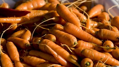 <strong>Baby carrots</strong><br />Water content: 90.4%<br /><br />A carrot's a carrot, right? Not when it comes to water content. As it turns out, the baby-size carrots that have become a staple in supermarkets and lunchboxes contain more water than full-size carrots (which are merely 88.3% water).<br /> <br />The ready-to-eat convenience factor is hard to top, as well. Snack on them right out of the bag, dip them in hummus or guacamole, or -- for a bit of added crunch and bright orange color -- chop them up and add them to salads or salsas.<br />